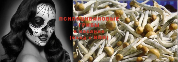 круглые Алексеевка